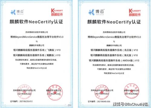 博云微服务产品与麒麟软件完成兼容互认证，共筑国产化云原生生态